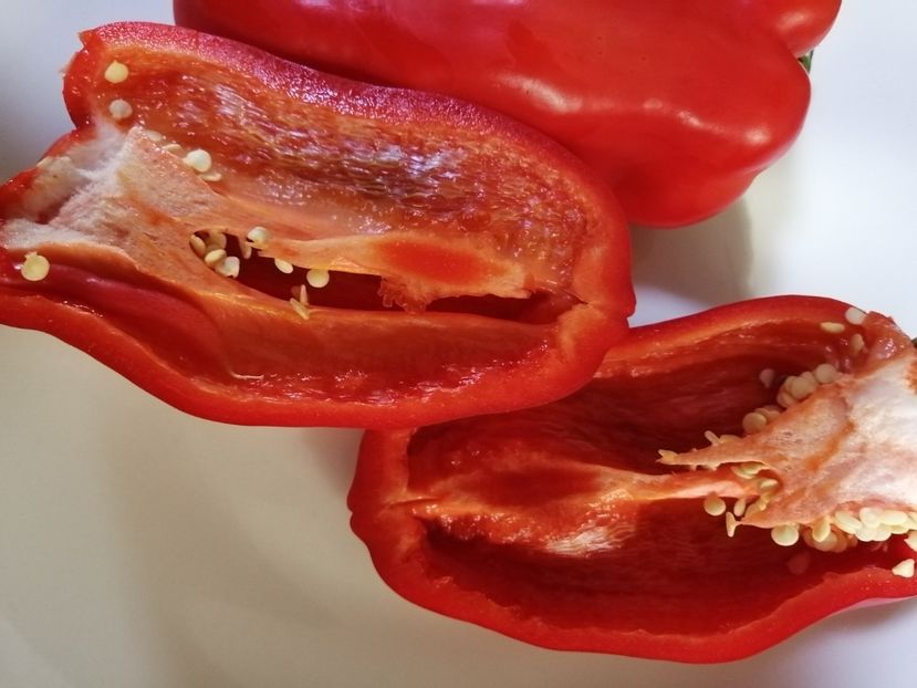  - SEMINTE ARDEI - A 80 MARINKA TONGUE