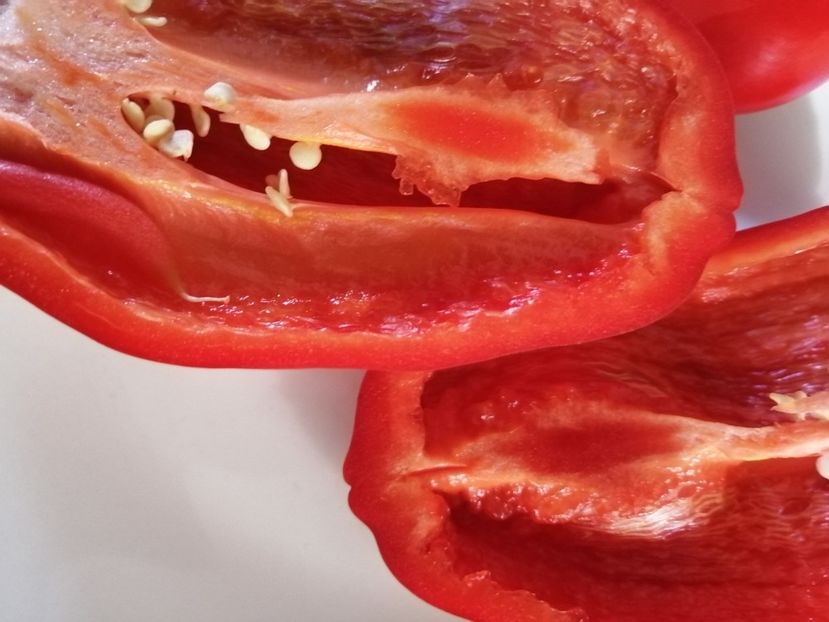  - SEMINTE ARDEI - A 80 MARINKA TONGUE