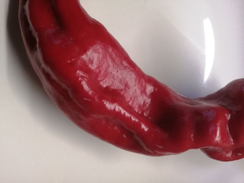  - SEMINTE ARDEI - A 53 CORNO DI TORRO ROSSO