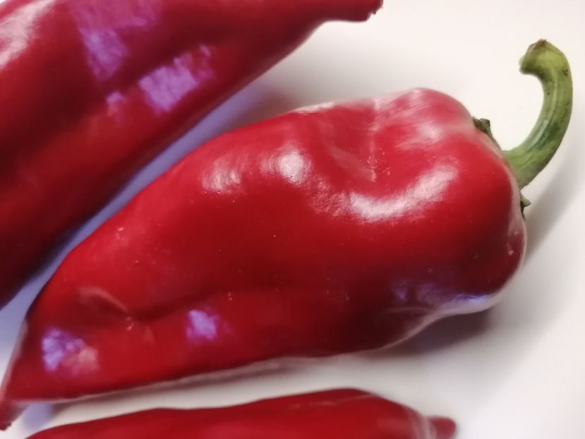  - SEMINTE ARDEI - A 47 MECHA LAPA