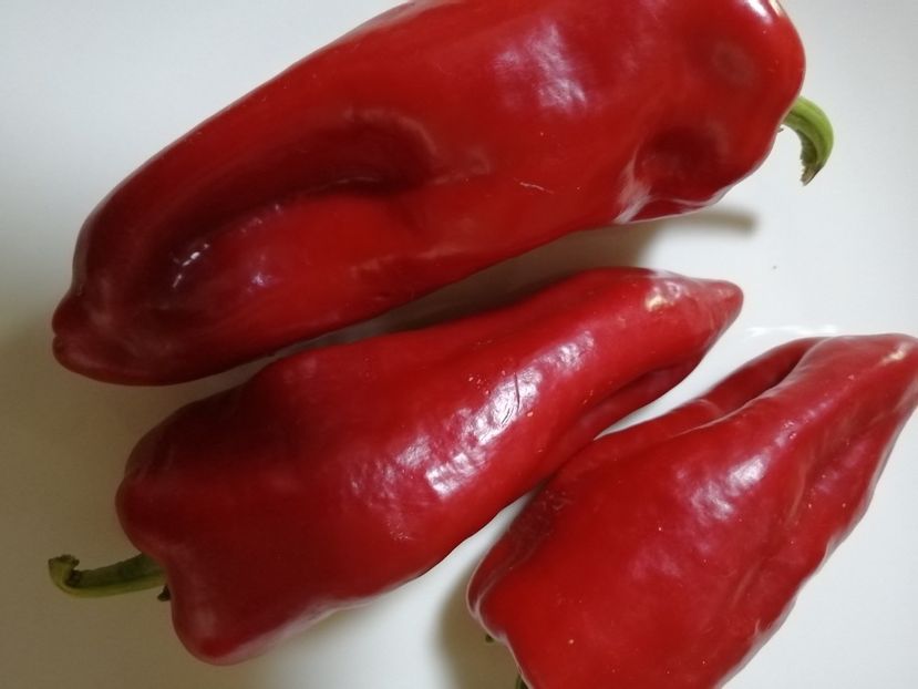  - SEMINTE ARDEI - A 68 BEL-GOY