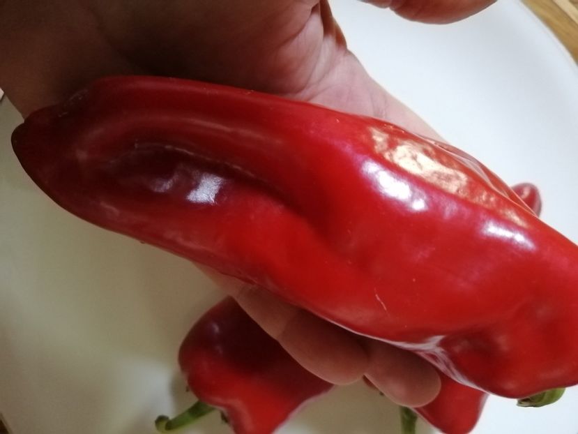  - SEMINTE ARDEI - A 68 BEL-GOY