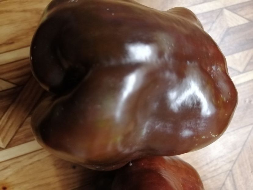  - SEMINTE ARDEI - A 73 CHOCOLATE EMERALD GIANT