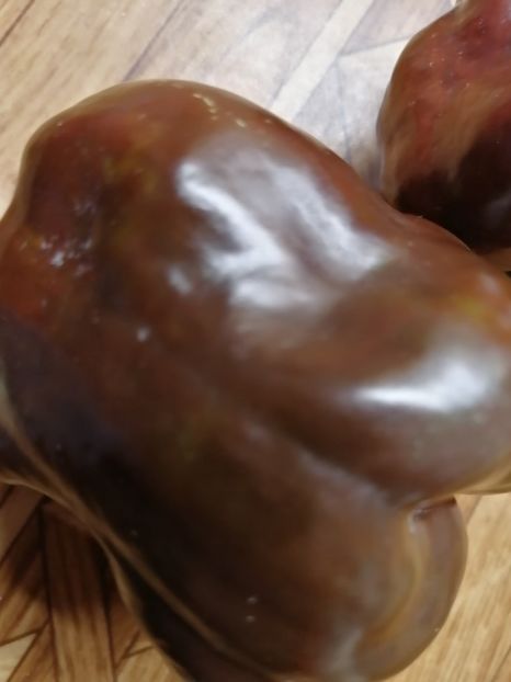  - SEMINTE ARDEI - A 73 CHOCOLATE EMERALD GIANT