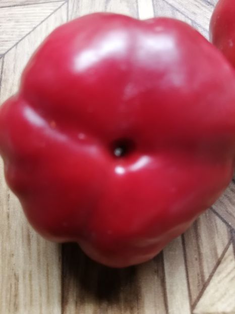  - SEMINTE ARDEI - A 70 MARISHA