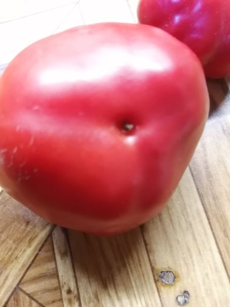  - SEMINTE ARDEI - A 70 MARISHA