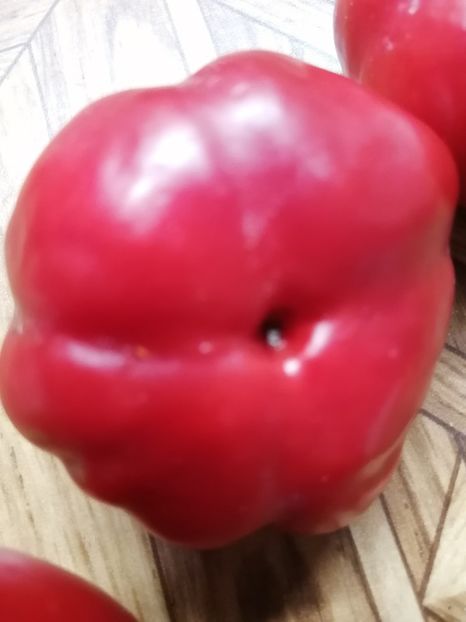  - SEMINTE ARDEI - A 70 MARISHA