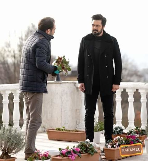  - case blocuri masini maluri parcuri muzeuri