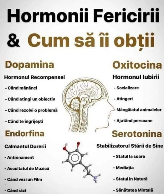  - Sfaturi Utile