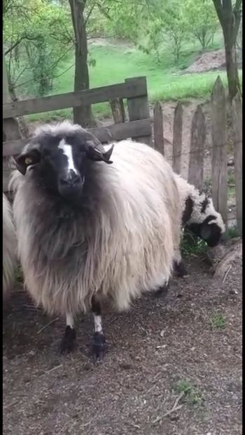 Screenshot_20210507-215009 - OCTOMBRIE 2022