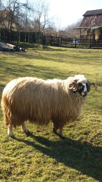 Screenshot_20210312-181935 - OCTOMBRIE 2022