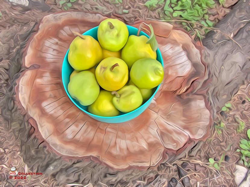 w-Pere de toamna-Autumn pears 01 - DECO ART