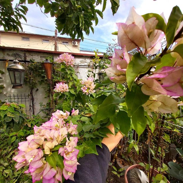  - Septembrie -octombrie 2022