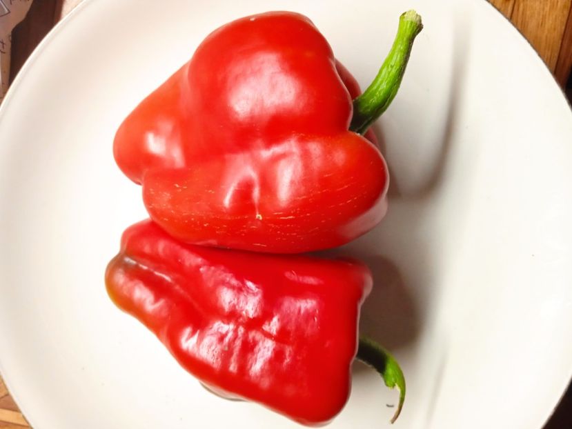  - SEMINTE ARDEI - A 44 BOGATYR