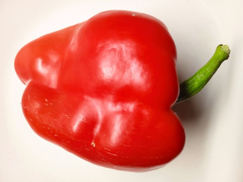  - SEMINTE ARDEI - A 44 BOGATYR