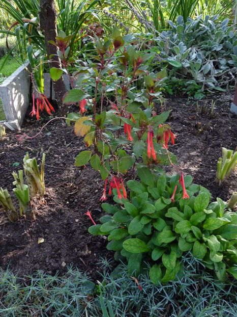  - 2022 - 03 - Toamna