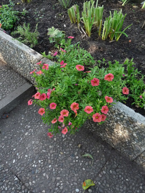  - 2022 - 03 - Toamna