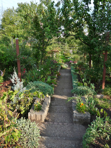  - 2022 - 03 - Toamna