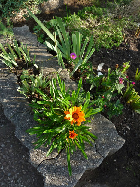  - 2022 - 03 - Toamna