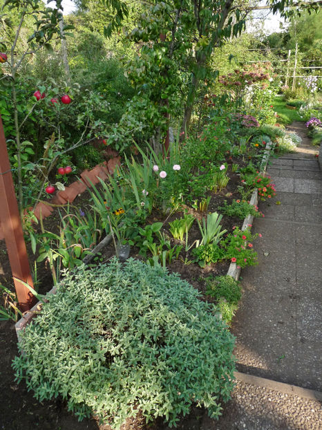  - 2022 - 03 - Toamna