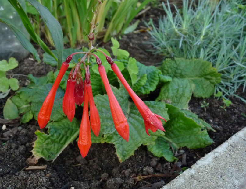  - 2022 - 03 - Toamna