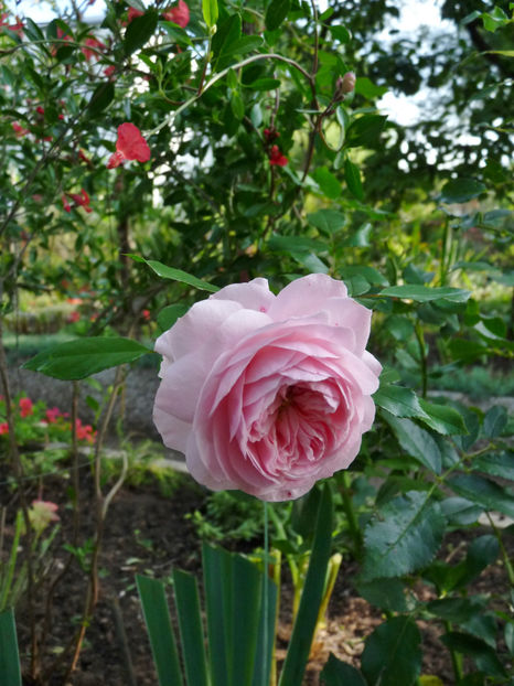  - 2022 - 03 - Toamna