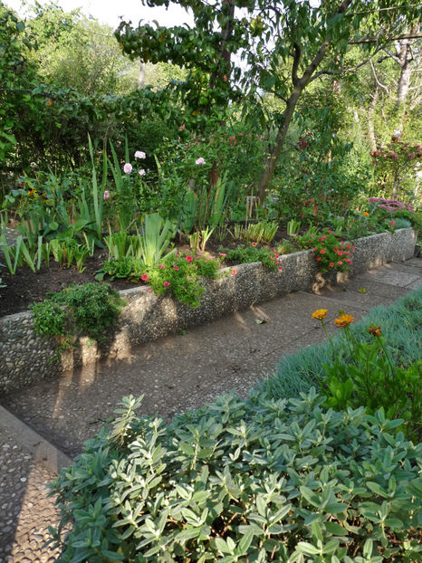  - 2022 - 03 - Toamna