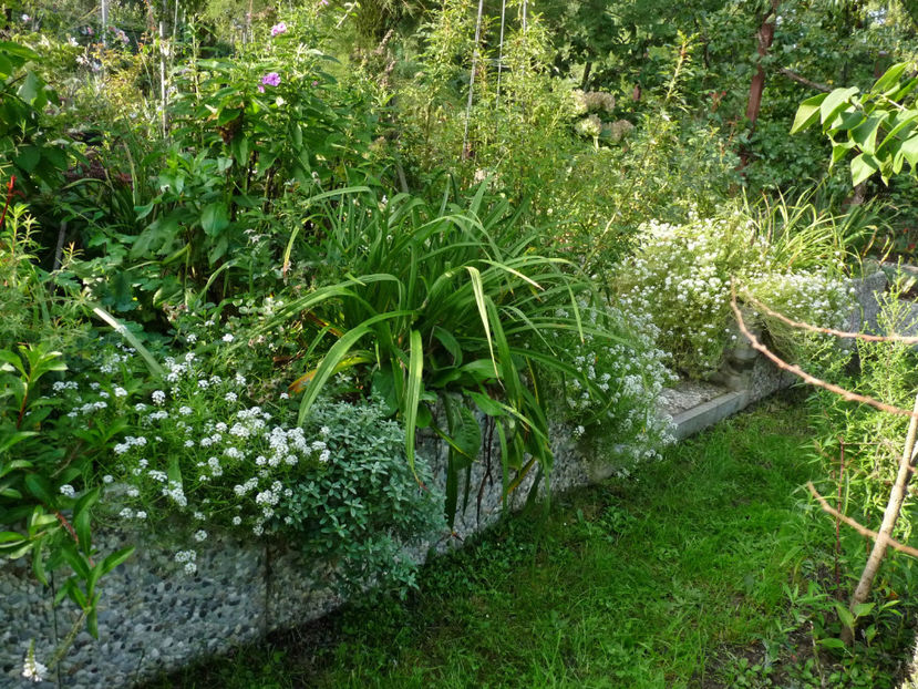  - 2022 - 03 - Toamna