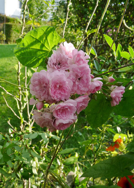  - 2022 - 03 - Toamna