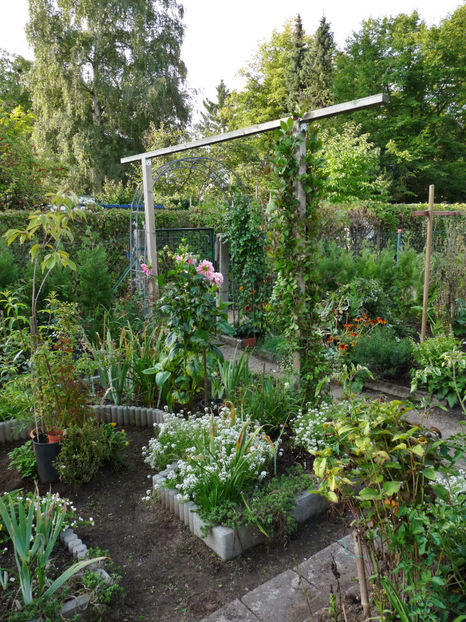  - 2022 - 03 - Toamna