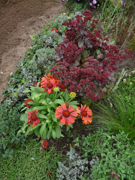  - 2022 - 03 - Toamna