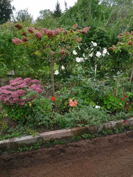  - 2022 - 03 - Toamna