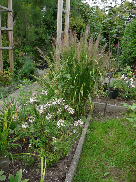  - 2022 - 03 - Toamna