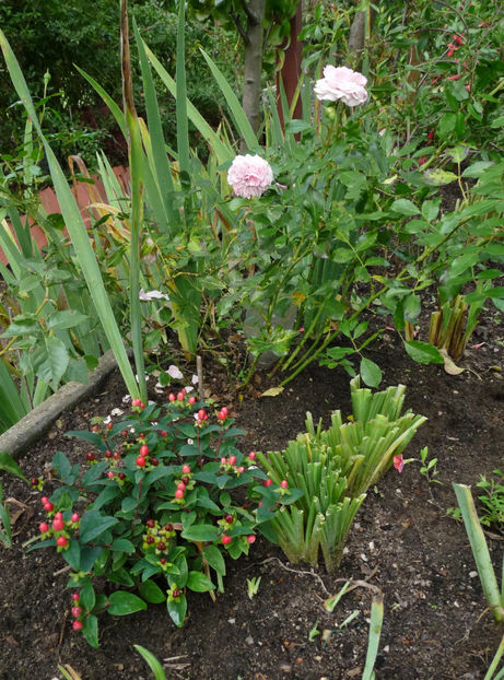  - 2022 - 03 - Toamna