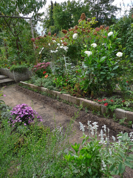  - 2022 - 03 - Toamna