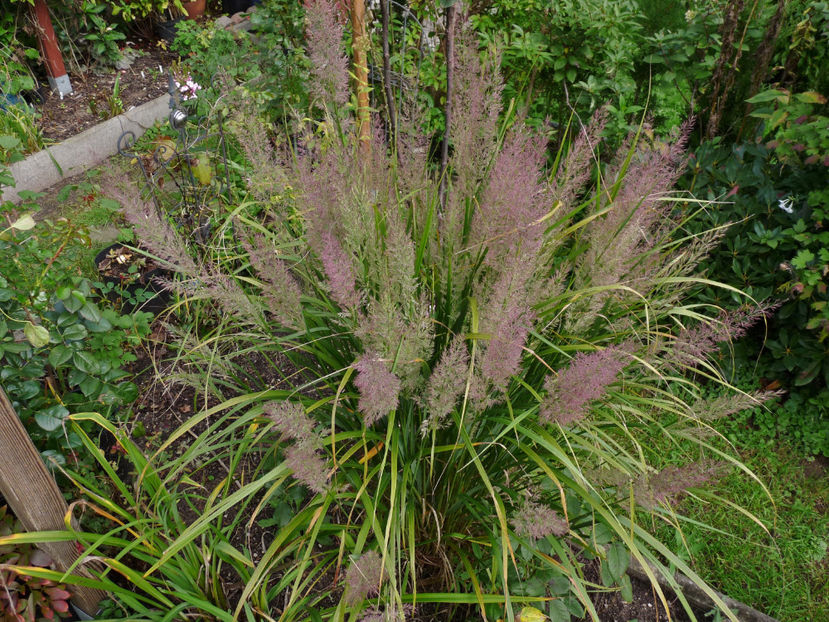  - 2022 - 03 - Toamna