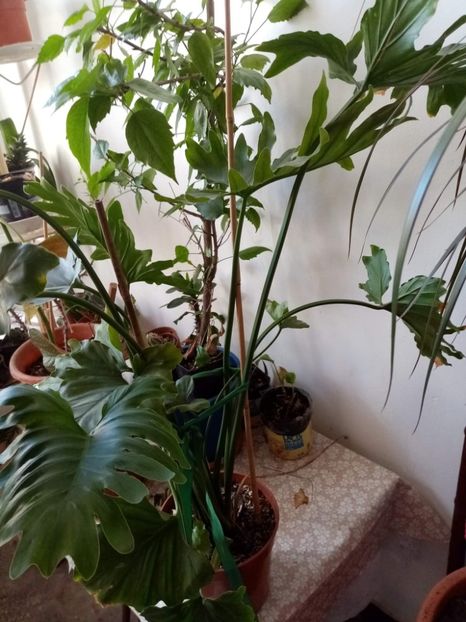 received_518654952928666 - OCTOMBRIE 2022