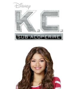 10371708_1735518180067719_6050343445939326296_n-1 - serialele mele adorate preferate