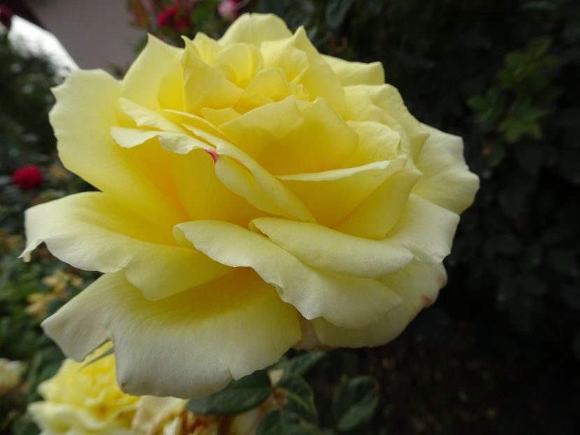 Nicolas Hulot - OCTOMBRIE 2022