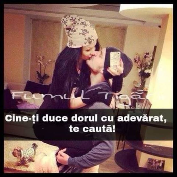  - pictures