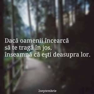  - pictures