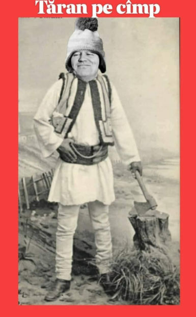  - Poze haioase pamflet