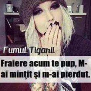  - pictures