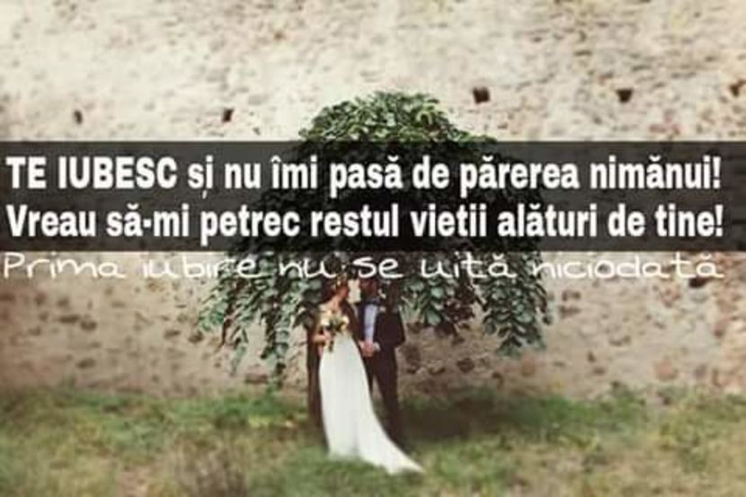  - pictures