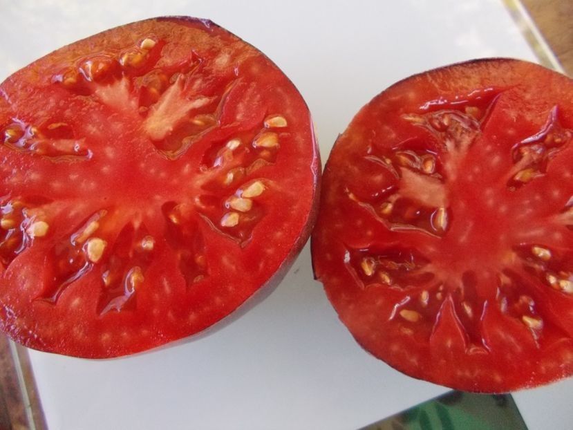  - SEMINTE ROSII - T 934 DIRTY CURTY