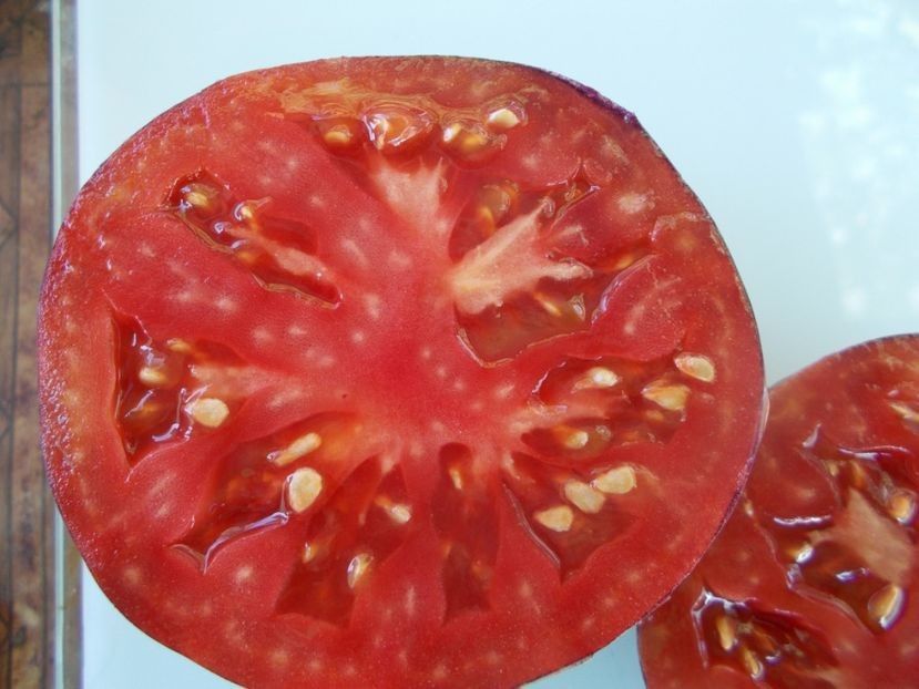  - SEMINTE ROSII - T 934 DIRTY CURTY