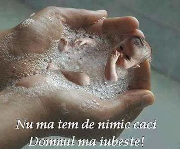  - peisaje
