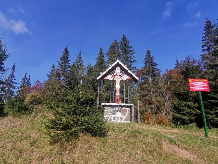  - Bucovina