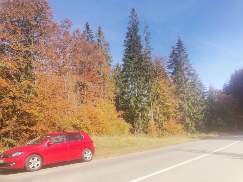  - Bucovina