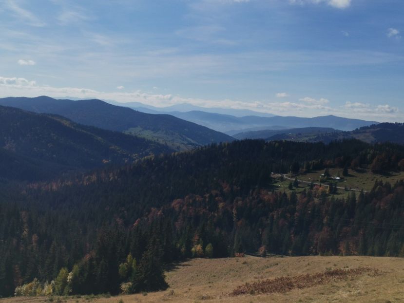  - Bucovina